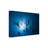 Contemporary-2127551437