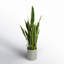 Artificial Sansevieria Snake Plant in Pot-1454465280