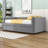 Amneris Twin Size Upholstered Daybed with 2 Drawers-1249027196