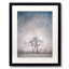 Two Trees Framed Print