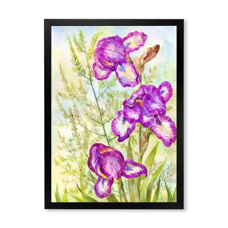 «Blooming Purple Irises In The Meadow», art mural sur toile traditionnel, Impression noire sur toile encadrée