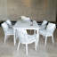 Nevis Dining Armchair With Cushion-1361083757
