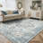 Roehit Oriental Performance Machine Washable Area Rug-965296199-949130767