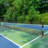 VEVOR Pickleball with Carrying Case