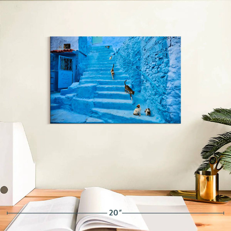 Chats Brampt Chefchaouen, H 8 po x l 12 po