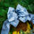 Harvest Belle Wreath