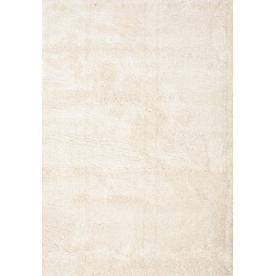 Indoor Rug