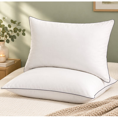 ValenciaLux Goose Down & Feather Blend Plush Support Comfort Pillows
