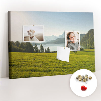 Maelea Cork Corkboard / Bulletin Board