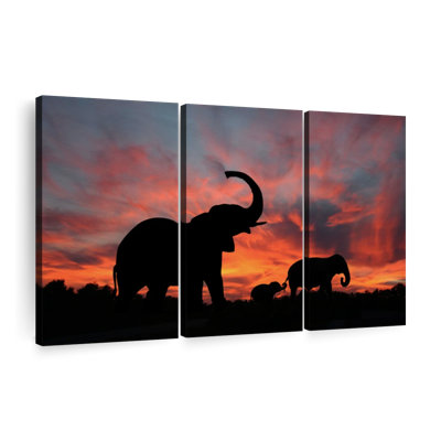 " Elephant Silhouette Sunset "