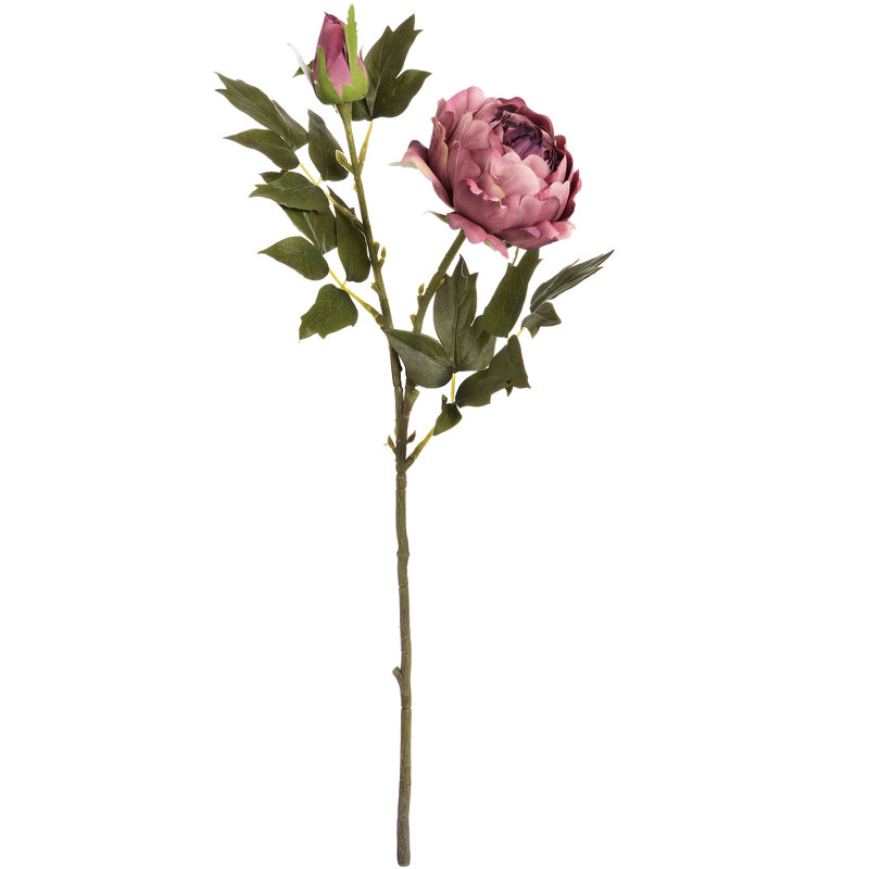 Arrangement, Dusky Pink