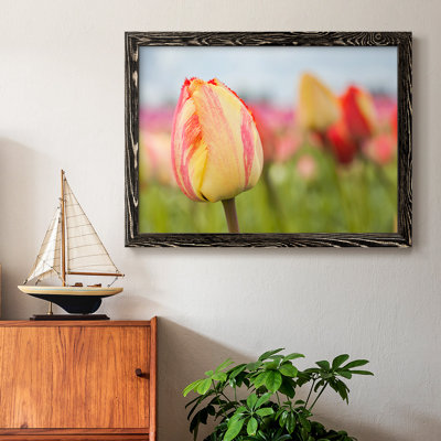 Spring Sherbet - reproduction de photo sur toile