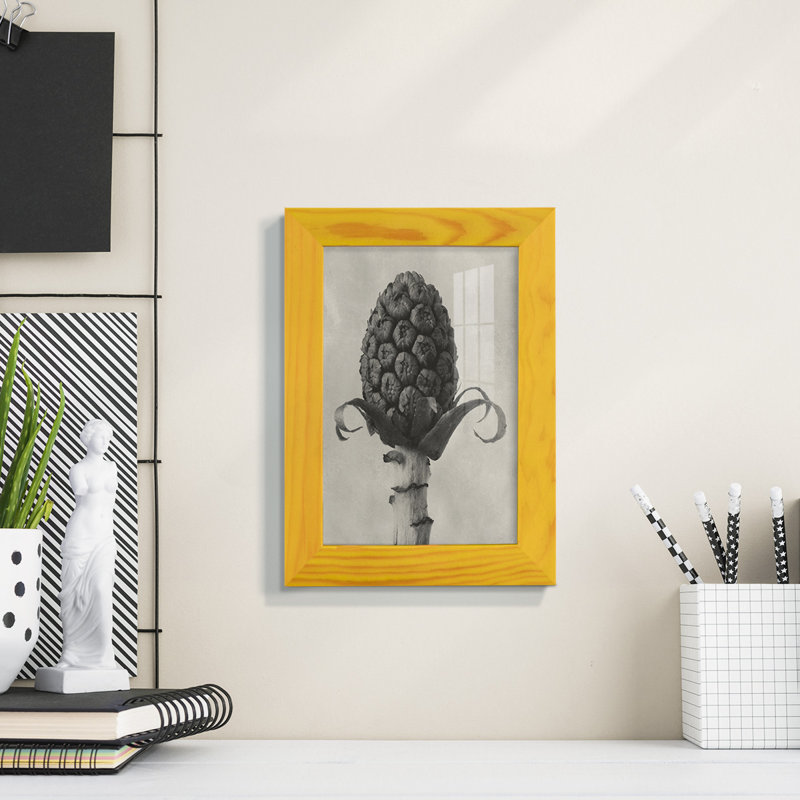 Blossfeldt Botanical IV - reproduction d'un seul cadre photo, H 8 po x l 6 po x P 1 po, Jaune