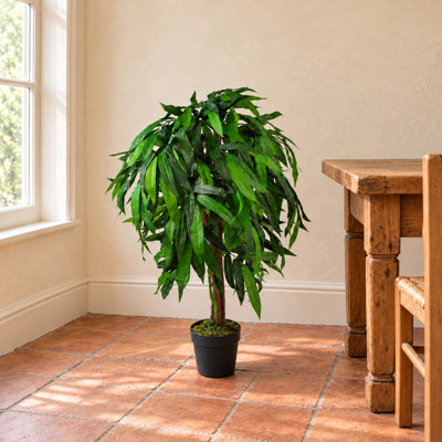 Faux evergreen Plant in Plastic Pot Liner