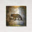 «High Country Bear» par Lightbox Journal-909869361