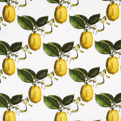 Schumacher x Johnson Hartig Le Citron Fabric