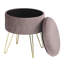Berg 31.5Cm Velvet Round Storage Ottoman-792526461