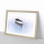 Reflection of a Boat - Picture Frame Painting Print-56758750-56758744