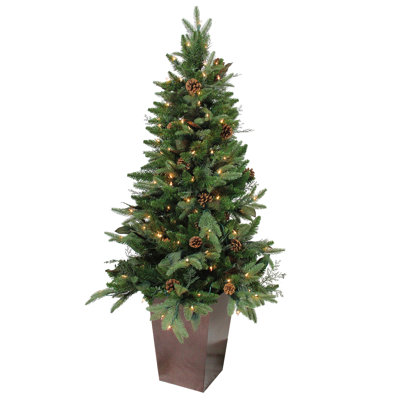 Lighted Pine Christmas Tree