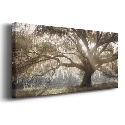 Virginia Oak- Gallery Wrapped Canvas -Ready to Hang
