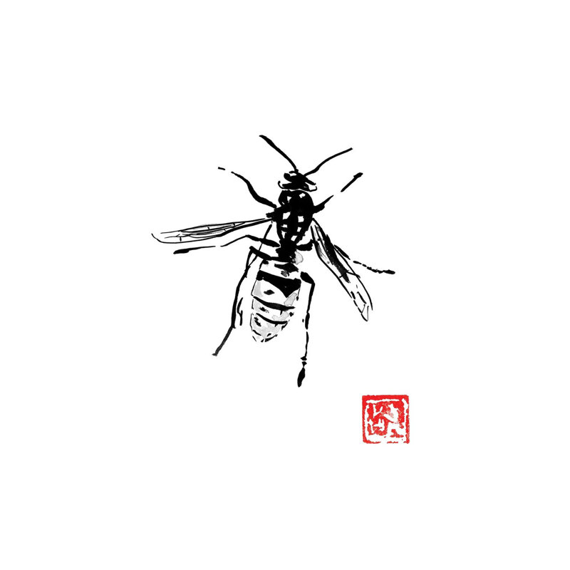 Wasp by Péchane - Print on Canvas, Wrapped Canvas, 20.32 cm H x 30.48 cm W