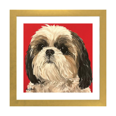 " Shih Tzu On Red " by Hippie Hound Studios