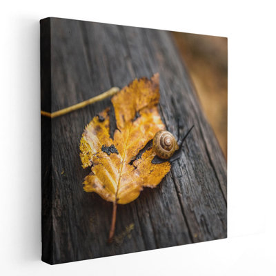 Snails Pace - reproduction d'art sur toile