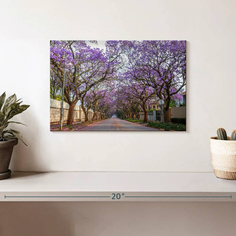 Sirci Saxonwold Jacaranda Lane, H 8 po x l 12 po