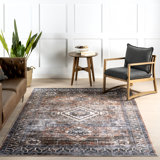 Franciskus SplashGuard Geometric Machine Washable Area Rug