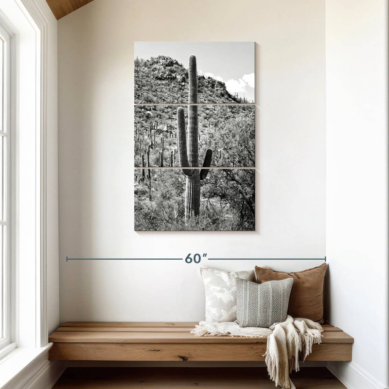 Harnek Black Arizona - Cactus Hill I, 45" H x 28" W