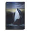 «Orca Sunset» par Chris Dobrowolski-99686307