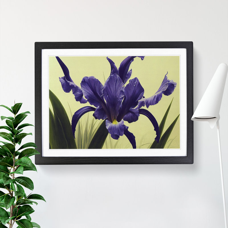 Cute Iris Flowers - Single Picture Frame Painting, 46cm H x 64cm W x 2cm D, Black
