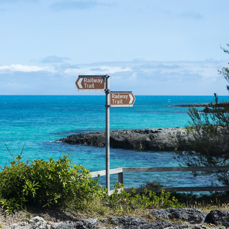 Railway Trail In Bermuda - Wrapped Canvas Print, 51cm H x 51cm W x 3.8cm D