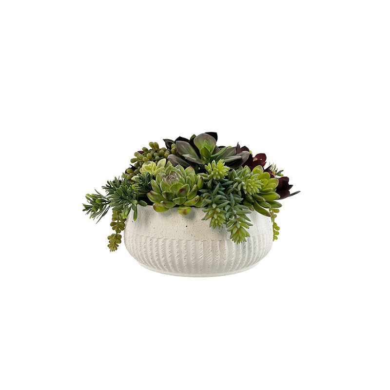 12" Succulent Arrangement