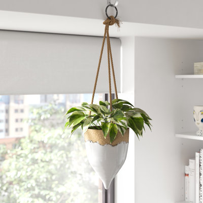 Round Terra‑Cotta Hanging Planter on Jute Rope