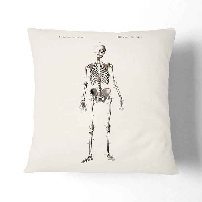 Square Throw Cushion, 55cm H x 55cm W x 20cm D