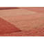 Dalas Hand Knotted Wool Red Indoor Rug-61685533