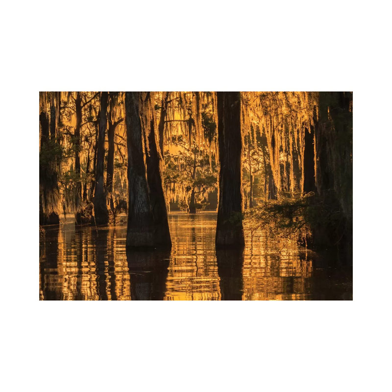 USA, Louisiana, Atchafalaya National Wildlife Refuge. Sunrise On Swamp. by Jaynes Gallery - Wrapped Canvas Gallery-Wrapped Canvas Giclée
