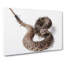 Close to a Rattle Snake in Abstract - Wrapped Canvas-55317595