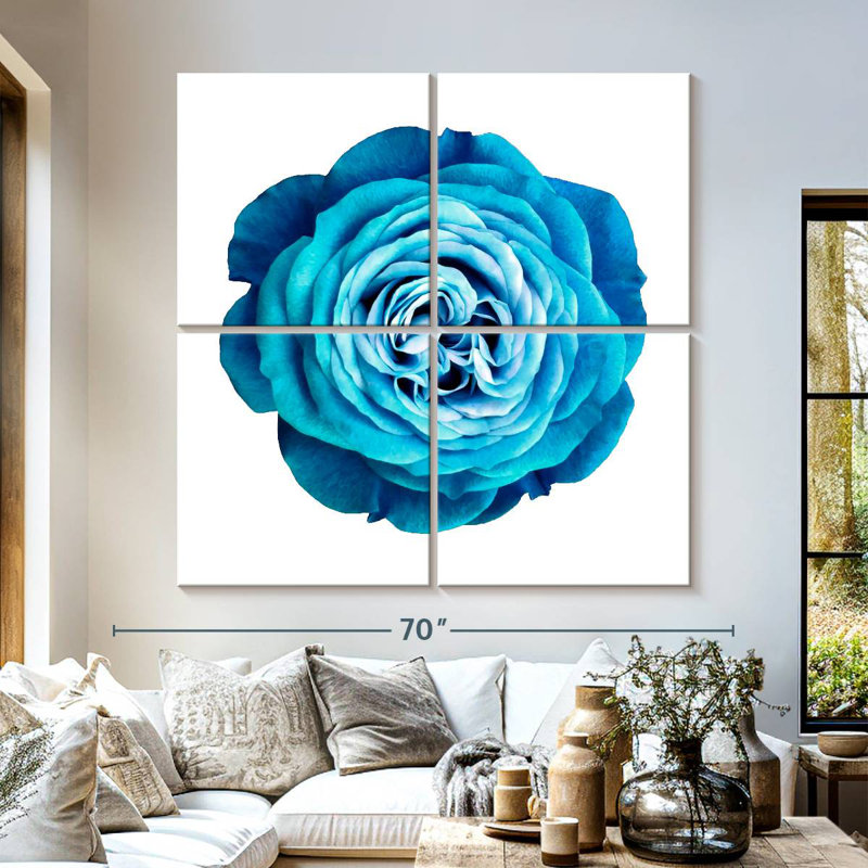 Rose Harnek dégradé