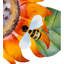 Piquet de jardin Modaser