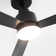 52" 3 - Blade Ceiling Fan With LED Lights And Remote Control