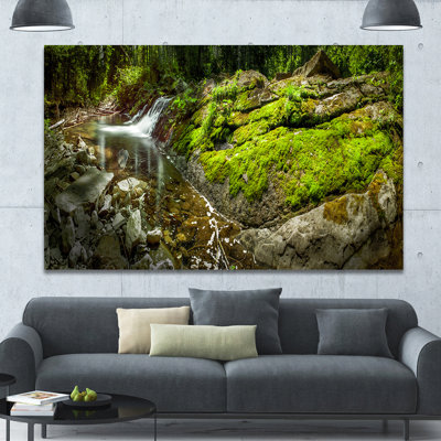 " Creek Moss And Rocks Panorama "