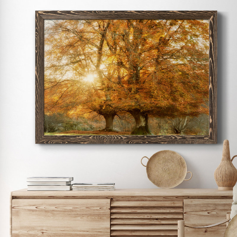 Couple of Beeches - Reproduction de photo sur toile encadrée, Noyer, H 31 po x l 44 po x P 1 po