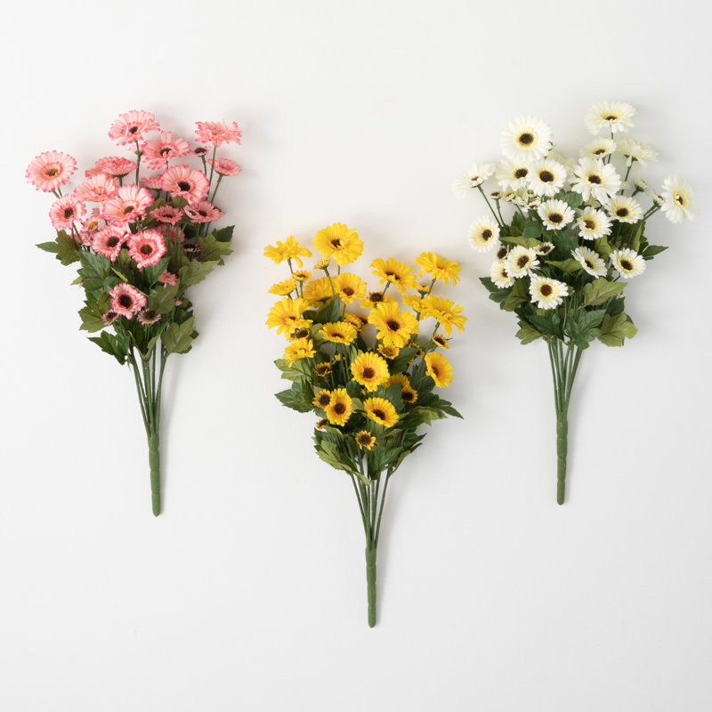 Tiges de marguerite Guisborough
