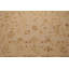 Tapis oriental en laine noué à la main de style oriental 7 pi 9 po x 9 pi 9 po Moss, couleur beige
