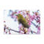 Wall Art on Canvas-2035919358