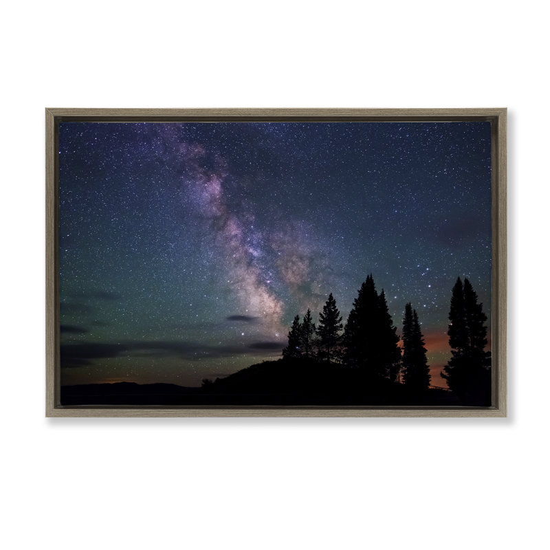 Silhouette flottante de la forêt et du ciel nocturne, conception par Royce Bair, H 21 po x l 31 po