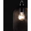 Fuchs 1 - Light Black Jar Pendant