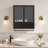 Larock Glass+Metal Wall-mounted Bathroom Cabinet,Wall Cabinet-1179271493